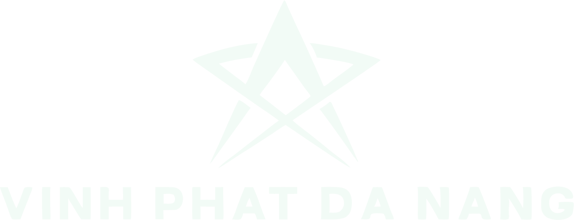 Vinh Phat Da Nang